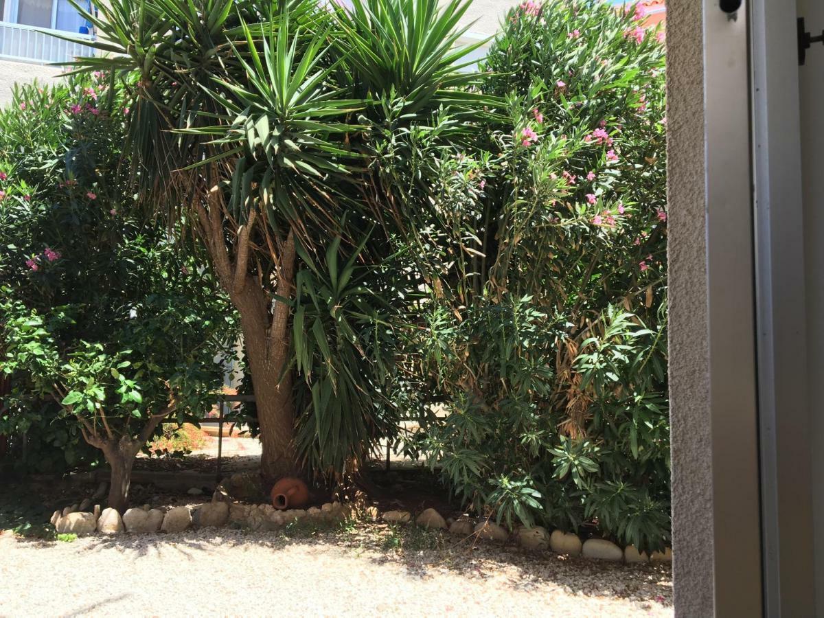 Diamond Complex Apartman Paphos Kültér fotó